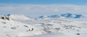 Wild nature ski touring