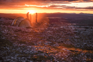 Fjällvandra