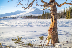 Wooden skis