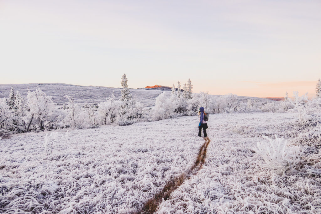 Snow hiking
