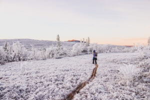 Snow hiking