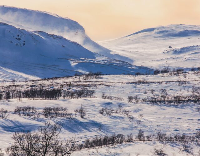 Några ögonblick från helgen. Sol, vind och lek med en superzoom. Kan konstatera att lite nysnö skulle göra gott men att det är fint före till fjälls, att isen på sjön redan börjar släppa och att det snart är fullmåne!