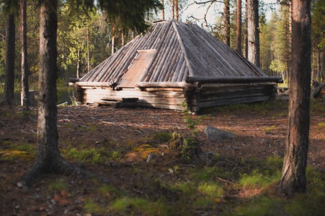En hälsning från storskogen. För första gången spenderar jag inte hela sommaren till fjälls. Två veckor med dagliga brasor, kalvmärkning och ljusa nätter ger omväxling. Den stora mörka granskogen är svår att vänja sig vid, de glesa tallarna är desto lättare att leva med. Semestern i skogisarnas kåtor och härbren är lika enkelt som hemma i hyddan. Laga mat över elden, vatten från kallkälla och bad i sjöar och tjärnar. 

Sommaren förändras ständigt och blir aldrig som tänkt, tro hur juli blir?