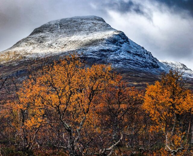 Tjocken i höstkläder. #handölsdalen #homesweethome #jämtland #åre #älskaårstiderna #autumn #höst #lifeinthemountains #naturephotography #mountains #fjällvandra #liveterbestute #utpåturaldrisur #natuur #zweden