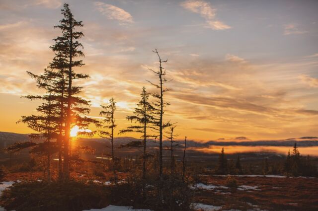 Wow! I helgen dansade dimslöjorna, norrskenet och solnedgångarna hand i hand. Minst sagt schåiga dagar för den som jagar ljuset, lyllo mig som har mörkret,ljuset och fjället direkt i trädgården. #homesweethome #handöl #fotografmupp #auroraborealis #naturelovers #nordlys #norrsken #solnedgång #åre #jämtland #autumn #lifeinthemountains #liveterbestute #hemmabäst #weekendvibes