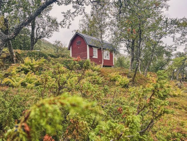 Lucka 2. Silverfallsstugan. En fin tur till en fin plats. Vid foten av Ingolvberget och Silverfallet ligger den här lilla stugan inbäddad i björkskogen. Enkel och mysig stuga som går att hyra för alla. Perfekt som dagstur eller en mysig helgtur.
Det finns två olika vägar hit. På sommaren är det fint att parkera efter bron i Enafors och följa skyltning till Silverfallet, ca 4 km enkel väg. Är du trygg i terrängen är det fint att gå från Storulvåvägen året runt, då blir det ca 5 km enkel väg. 
Jag har gått hemifrån och det är riktig lyx att ha en sån fin och mysig stuga som man går till från sin egen dörr!

Silverfallsstugan är en gammal enkel stuga men det mesta finns, ta med god mat, trevligt sällskap, egen sovsäck, såklart de vanliga karta&kompass och säkerhetsutrustning beroende på säsong. 
Se till att boka stugan på förhand. På hssf.se kan du läsa mer och boka. 

#utpåturaldrisur #handöl #homesweethome #julkalender #turtips #hiking #fjelltur #jämtland #åre #älskaåre #fjällvandra zweden #liveterbestute #staywild