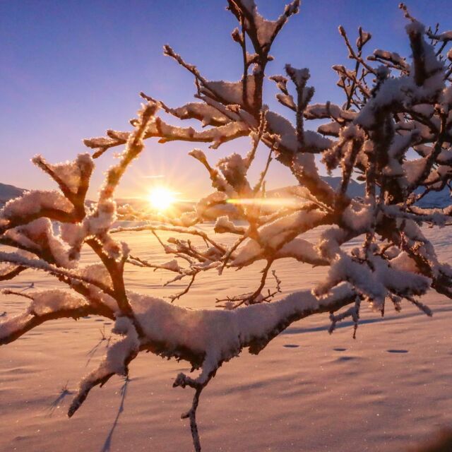 Fina kvällar, även om det är blåsigt och rivigt ute. Den bästa tiden ligger verkligen framför oss nu! För varje dag blir det ljusare kvällar, varmare sol förhoppningsvis lite mer stabilare väder. #thebestisyettocome #utpåturaldrisur #fjelltur #skiing #naturephotography #sunset #solnedgång #zweden #springtime #natuur