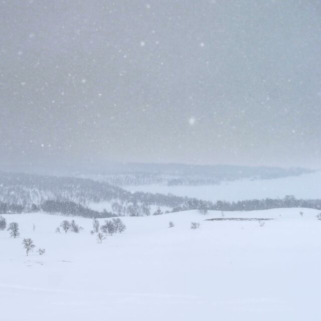 Flurigt men vi tackar och tar emot påfyllningen av det vita guldet så det går att åka skidor i vår! Som fjället ser ut nu är det snarare 1 maj än 1 april som kalendern säger. Som ett riktigt dåligt aprilskämt. #naturelovers #natuur #snowyday #skiing #skimore #zweden #talvi #wintertime #lifeinthemountains #holidayseason #jämtlandsfjällen #fjelltur #utpåturaldrisur #fjellkos #fjelltur #snowwhite
