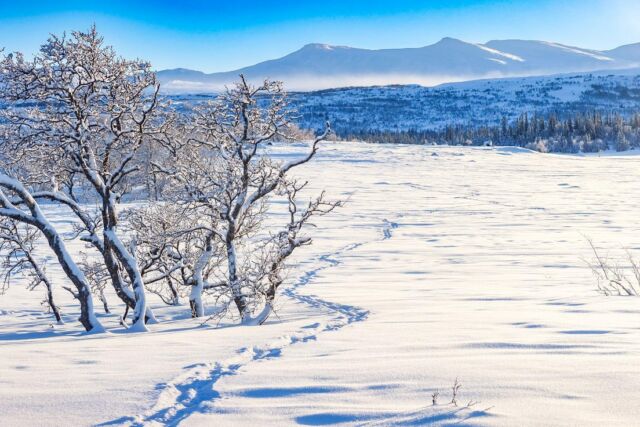 Tänk att en enda solig dag kan göra så mycket! #sunnyday #skiing #vinterferie #jämtland #zweden #winterwonderland #winterlights #naturephotography #åre #åresweden #zweden #bergliebe #mountainlovers #jämtlandsfjällen