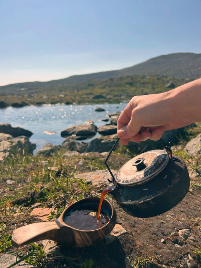 Det är så konstigt. Samma sak varje år. Hur kan sommaren bara rinna iväg? Handölan har nästan torkat men allt annat rinner så galet fort. 
Gammskogens besök, snickeriande, kepsbyte i Vålådalen, stigar att följa, fjällets som upptäcks, frågor om naturens observationer, hepp och prepp, lite mer att skruva, virke att bära, hjortronen må plockas, alla brasor och allt kaffe som hjälper oss att faktiskt stanna upp. 
Bad som får oss att tappa andan, både fysiskt och själsligt. Fjällets sjöar, tjärnar och åar har ingen risk för algblomning och maneter. Vi dricker vattnet och badar, helst samtidigt. Lyllo oss. 

Sommarens regnskurar, temperaturskillnader, den där dagen av värmebölja och den där frostnatten. 
Allt händer på någon vecka och sen blir de höst. 
Jävlar vad de gäller att ha stor håv, om man vill fånga in sommaren.